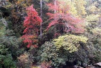 Appalachian Trail Desktop Background Screensavers