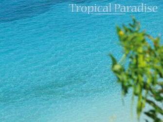 Caribbean Wallpaper