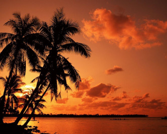 Sunset Aesthetic Wallpaper HD By Nsfwcaptains