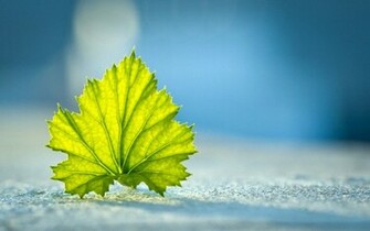 Fancy Background Image