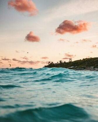 Ten Top Things To Do In Tulum Mexico S Hippy Seaside Town