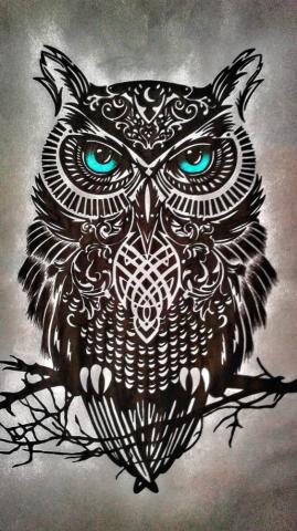 Animal Owl
