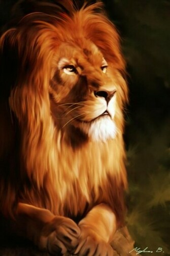 Animal Mobile Phone Wallpaper HD Img