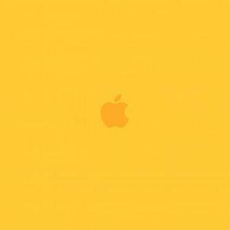 iPad Pro Apple Logo
