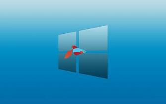 Windows Background Metro Fish Wallpaper X
