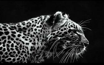 Black Leopard Background