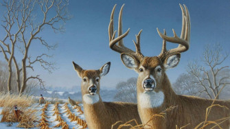 Deer Desktop Wallpaper