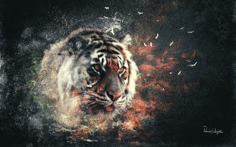 Tigers Wallpaper For Desktop