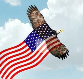 Bald Eagle Flying American Flag By Xybutterfly