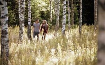 Wallpaper Love Boy Girl Forest Birch