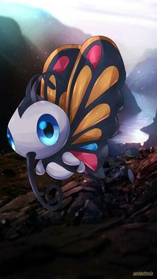 Beautifly Image HD Wallpaper And Background Photos