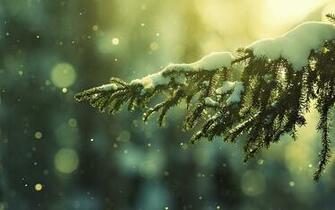 Christmas Snow Wallpaper