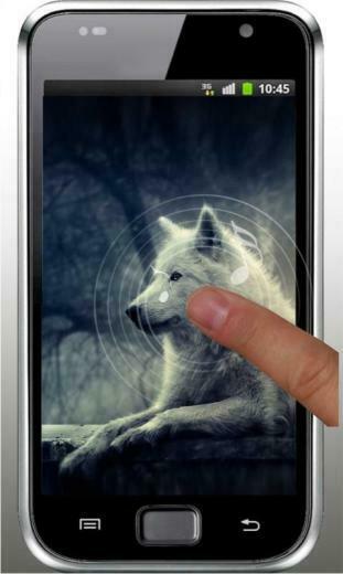 Wolves Night Live Wallpaper Wolf At Forest On Top Of