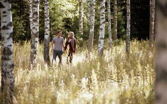 Wallpaper Love Boy Girl Forest Birch