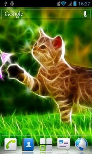 Wallpaper With Animals The Live For Your