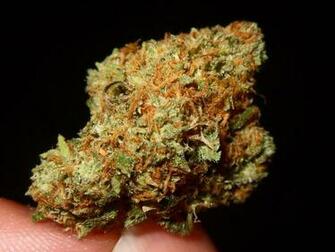 Kush Wallpaper HD Gallery For Og
