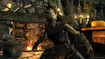 Argonian Female Elder Scrolls V Skyrim Photo