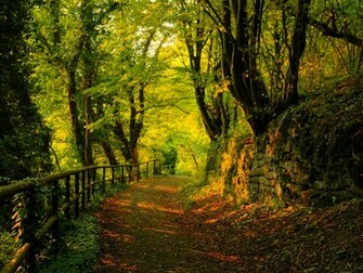 Autumn Scenes Wallpaper In HD