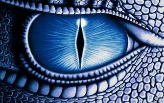 Dragon Desktop HD Wallpaper And Make This For Your