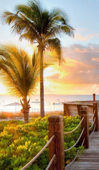 Summer Wallpaper