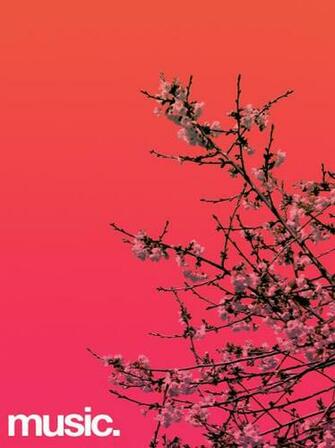 Mi9 Wallpaper Waterfall Zune Filesize 82k