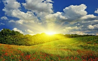 Spring On Mobile Means Springtime Season HD Wallpaper And Image