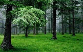 HD Nature Wallpaper Pack