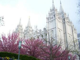 Salt Lake Temple In The Spring