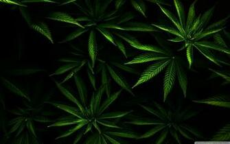 HD Weed Widescreen 1080p Wallpaper Top