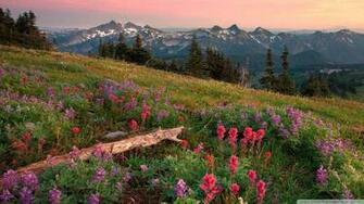 Mount Rainier Washington Wallpaper Tatoosh Range