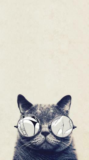 iPhone 6s Cool Cat Wallpaper HD iPhones