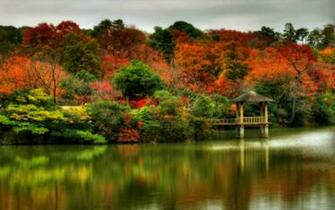Autumn Time In Nature Desktop Wallpaper For