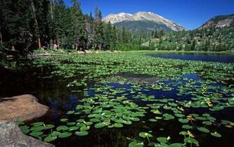 Summer Scenery Wallpaper World