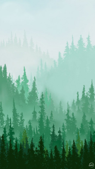 Pine Forest Phone Wallpaper Background