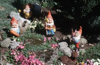 Garden Gnomes