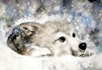 Wolf S Snow Cs In Celldweller Studio By Zhaot