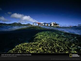 Of The Day Picture Photography Wallpaper National Geographic