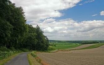 Country Living Wallpaper