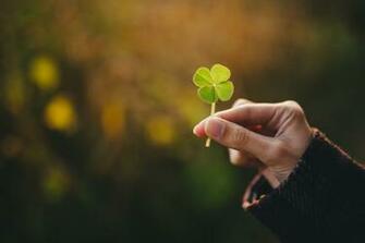Lucky Charms To Attract Good Luck In Your Life
