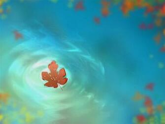 Fallen Autumn Leaves Mac Wallpaper