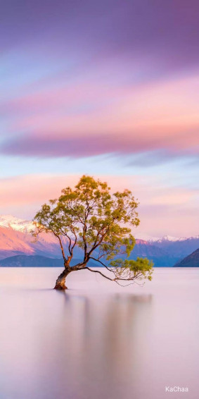 Wanaka Beautiful Wallpaper For Phone Abstract