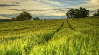 Swedish Landscape Wallpaper Best