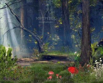 Enchanted Forest Wallpaper Fresher Jobs