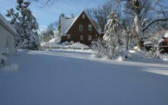 Winter Storm Wallpaper