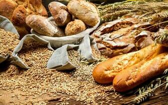 Bread And Wheat Wallpaper Id Wallpapervortex