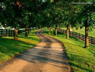 Amazing Nature Wallpaper
