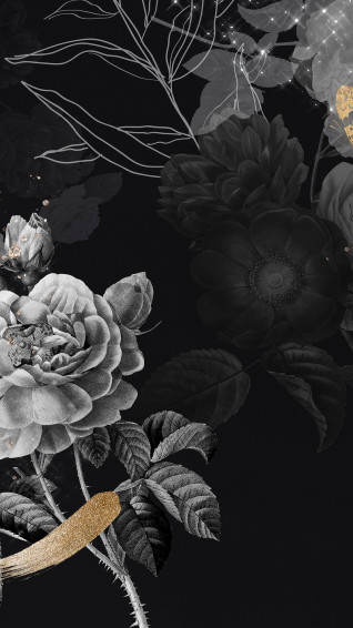 iPhone Wallpaper Dark Aesthetic HD 4k Mobile Phone Image