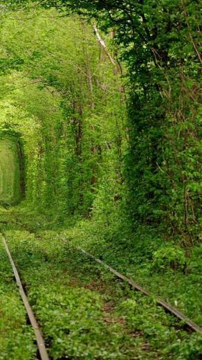 Nature Love Tunnels Ukraine Wallpaper