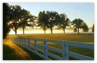Morning At A Ranch Wallpaper
