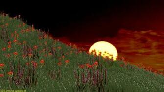 Flower Background S